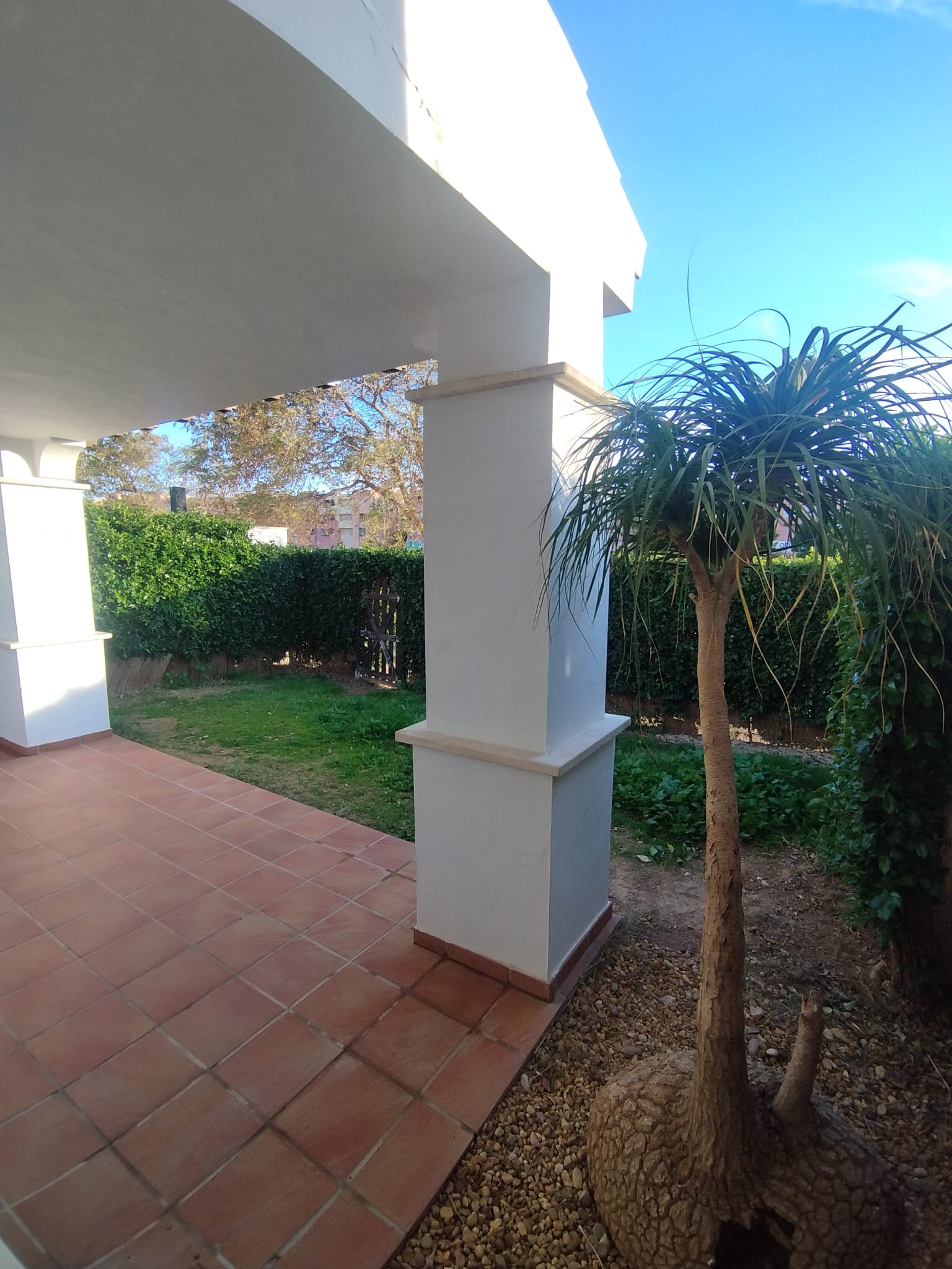 50059_WhatsApp Image 2026-02-09 at 19.10.33 (2).jpeg